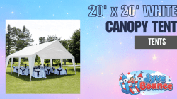 20' x 20' Canopy Tent