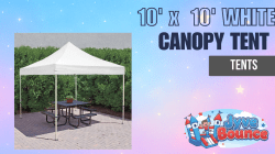10' x 10' Canopy Tent